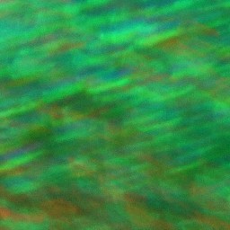 Bokeh-522